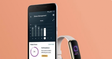 Google Ƴ Fitbit Luxe ǻֻ ʱݻ