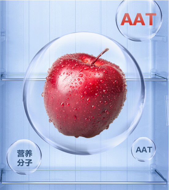 һլұرTCL䣬ӵȤζʮü