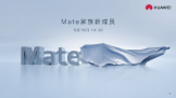ΪMate ³Ա5191430 дϲ