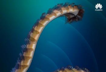 ٩�磺��Ϊ�콢��Ʒ�����ᶨ��729��OPPO�������������ع�