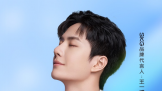 SKG羱ĦT5 960㣬999
