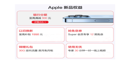 13㡱  ׹5AppleȨɻ
