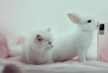 С�׷�����  ������С�� Civi �ֻ�����һ����Ʒ 