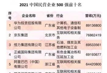 2021���й���Ӫ��ҵ500ǿǰʮ�� ��¯�� 