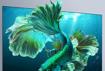 �������е����ӵ㶼��QLED  TCL 75T8E-Pro��������