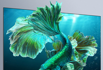 ����ר����������顱 ǣ��TCL����Ļ����һ��ӭ����