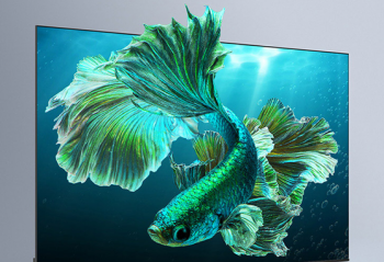 ���ӻ�����Խ��Խ�� ����75Ӣ��QLED�����Ƽ�