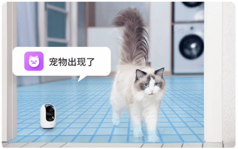 今晚6点围观360云台摄像机新品发布直播 首发惊喜随时领