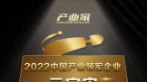 Ƽٻ2022йԪҵҵTOP 10