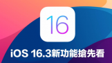 iOS 16.3 RC ˣȿ10 iOS 16.3 ʽ¹