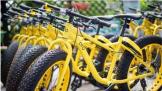 ¼ ˾ ofo  Ѿ͸