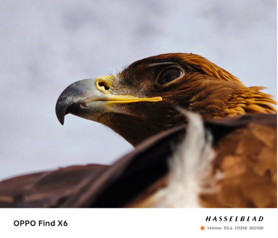 OPPO Find X6 ϵ  ȫϵͻǱ