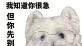 һʽװѡTCLǶT9