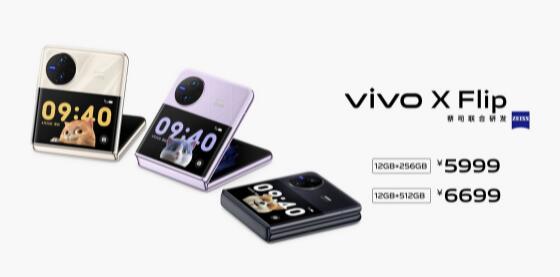 vivo X Fold2 / X Filp  10:00 ʽ