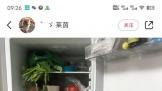 ΪǶʽ⼸룡