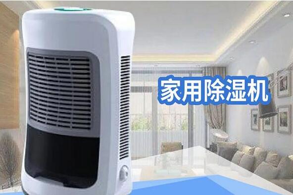 ÷꼾θʪ𣿳ʪƷɡ³衱