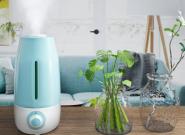 ��ʪ����ʲô���� ��ʪ�����ý���