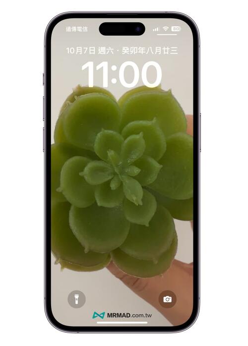 iOS 17̬ôãiPhone Ҳж̬Ч