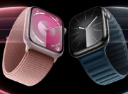 Щ Apple Watch ͺֿ֧ٳ磿