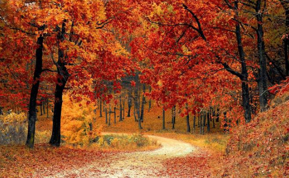 ���������г�¯���ҵ���ҵҵ�������е���ϲ����ͨ