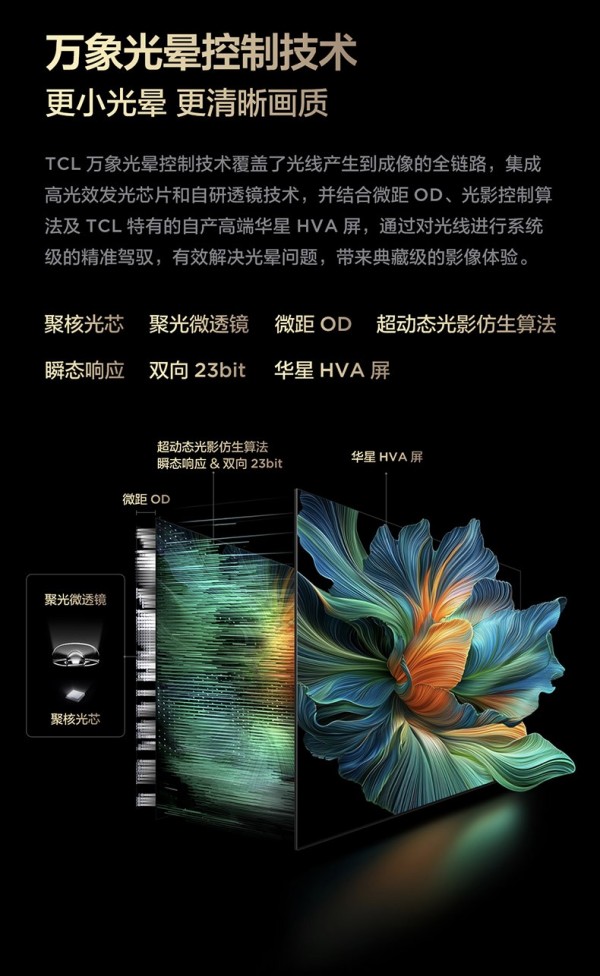 一区顶多区,TCL万象分区开启高品质画质体验