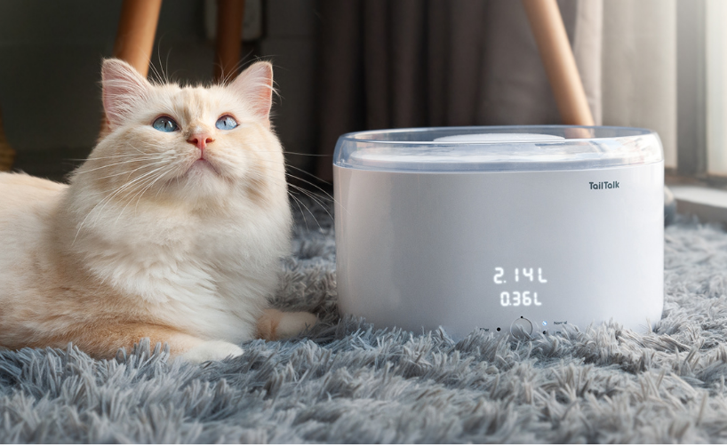 Ʒ�ƽ������ҵ��г� �ȳ�������ˮ�ж��