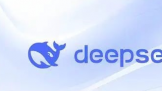 DeepSeekģͱ   ̷ֻ׷׽