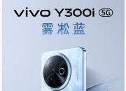 vivo Y300iȫɫڡ 314ʽ