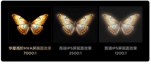 Ҹճֹܵӹ棬̨