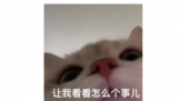 ͬƬԴ˵ĸҵĵϺ