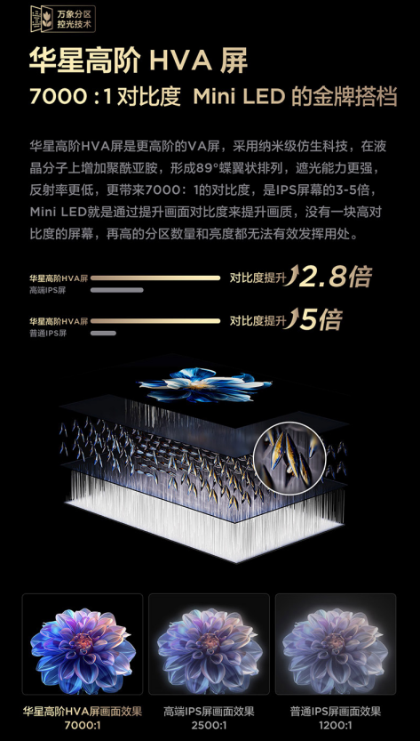 ӼջأTCL T6L Pro塰콢±