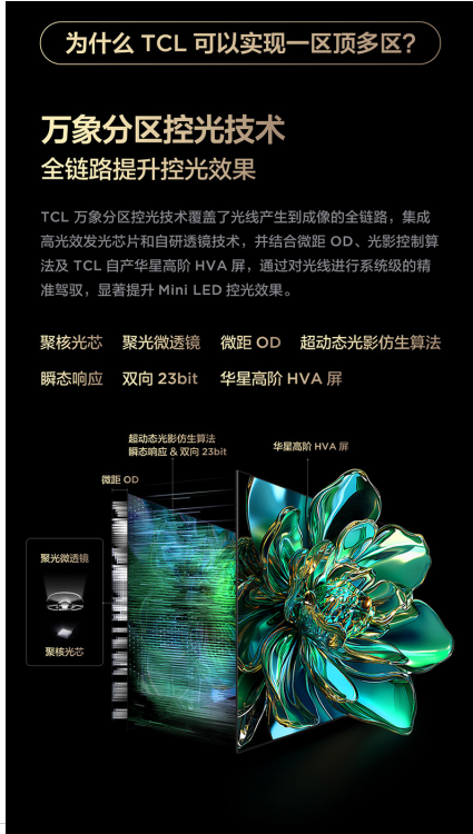 ֱԪ·ţTCL T6L ProԽ