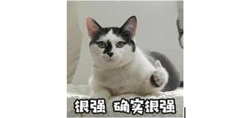 ճ˻ˢ˭ҡĻ֡ñͷ