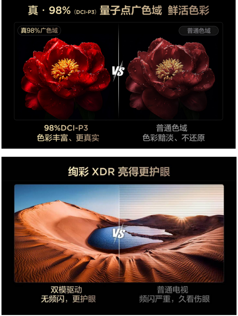 家庭教育新突破,用科技让历史 “活” 在眼前