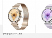 ��ΪWatch GT 6��Watch GT 6 Pro��Ⱦͼ�ع� 