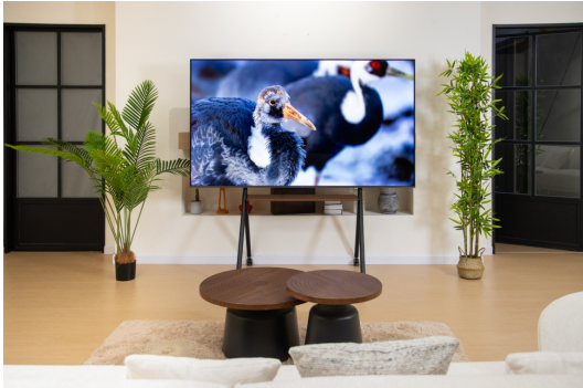 抗反光电视扛把子,TCL T7L Ultra就是最佳看球搭子