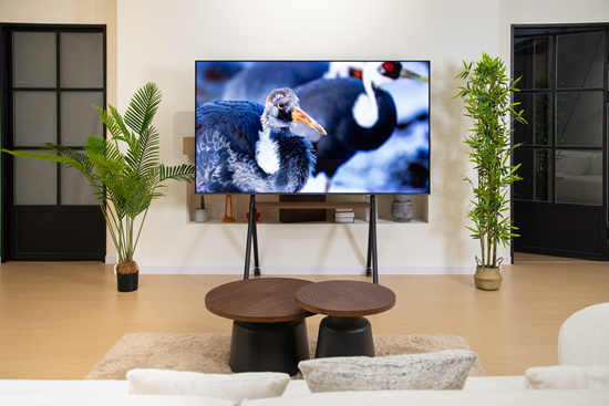 装修选电视别瞎买!年轻人都盯 TCL T7L Ultra,万象分区画质太顶了