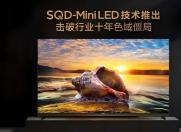 ��ԽRGB��ȫ�ָ�ɫ���ж�ݣ�2025��ֵ���ڴ��ĵ��Ӽ������ÿ�SQD-Mini LED