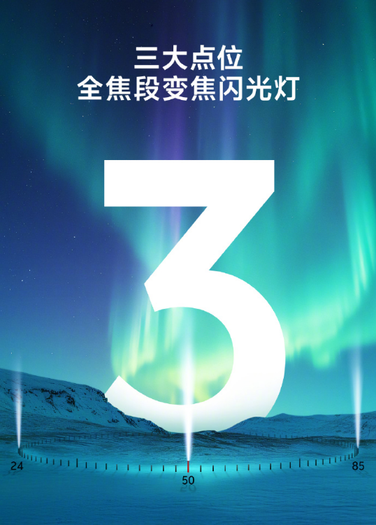 vivo X300 / Pro ֻĲع  ʽ