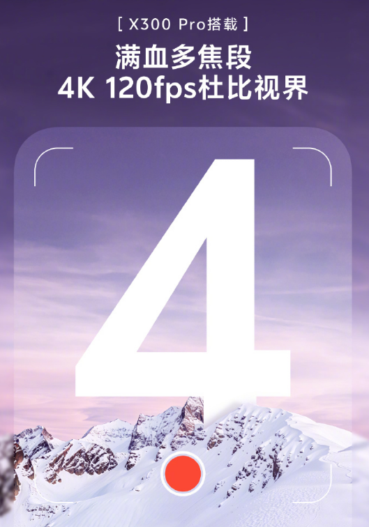vivo X300 / Pro ֻĲع  ʽ