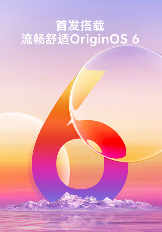 vivo X300 / Pro ֻĲع  ʽ