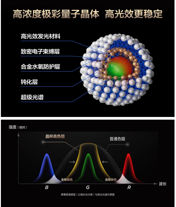 TCL奥运中国行成都站冠军杨威助阵!全球首款SQD-Mini LED电视亮相