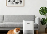 èëĸӺã2025Ƽһ