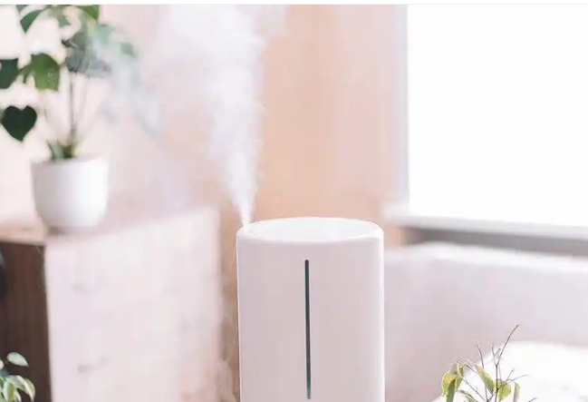 供暖季必知!加湿器使用不当易导致“肺炎”