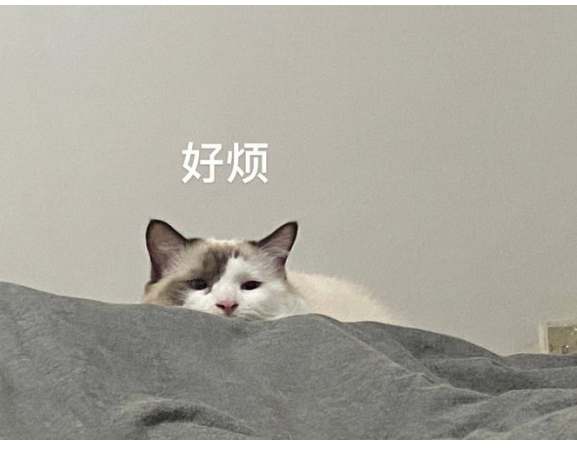 万元内RGB-Mini LED终于来了!这台电视藏着让色彩持久的大招