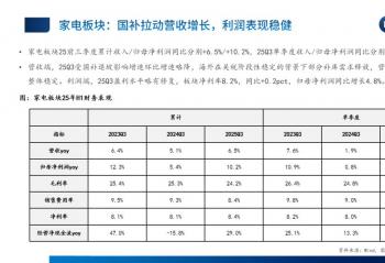 ҵҵ2025ܽ᣺ֻͷӪȽ