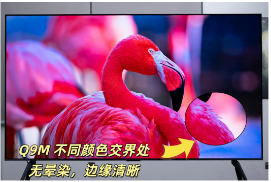 RGB-Mini LED终得正解,TCL Q9M以革新技术改善体验短板