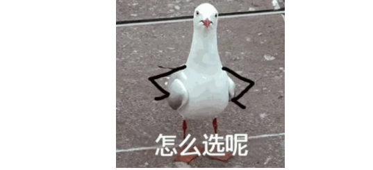 别再被高色域骗了!一文带你速看RGB和SQD Mini LED的差别