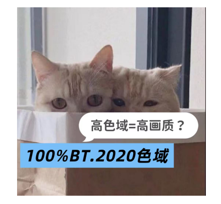 100% BT.2020ɫ��ĵ��ӣ�Ϊ�λ�����Ȼ�������������ˡ�