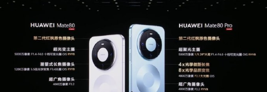 ΪMate 80ϵMate X7ʽ